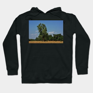 Colorful Kansas Summer pasture Hoodie